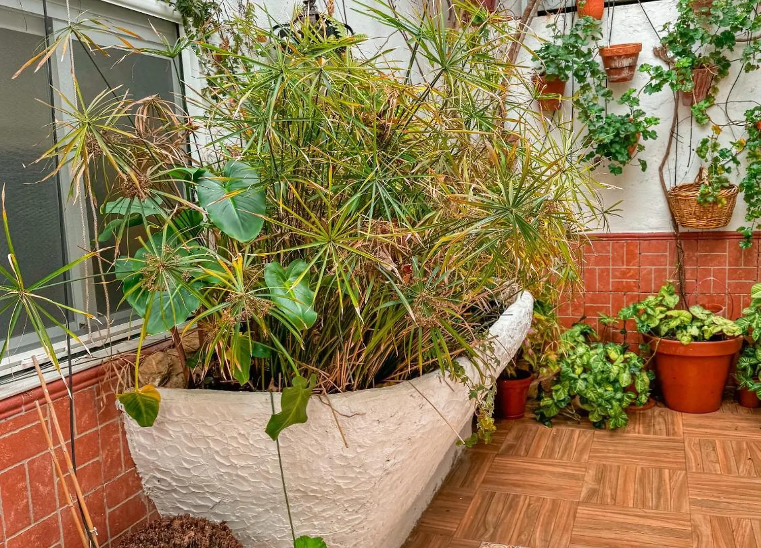 Casa Cruz Holiday home Almodovar del Rio